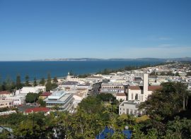 Explore Napier based businesses