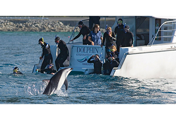 Encounter Kaikoura