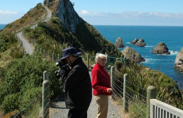 Private Discovery Tours
Catlins Discovery Tour