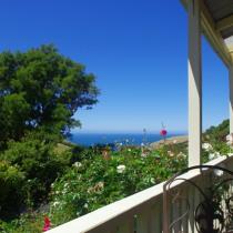 Paua Bay Farmstay