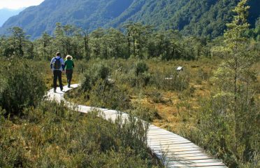 Real Journeys
Milford Track Guided Day Walk