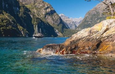 Real Journeys
Milford Sound Coach, Nature Cruise, Coach