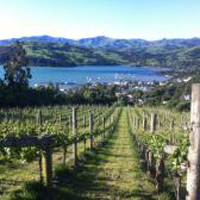 Meniscus Wines