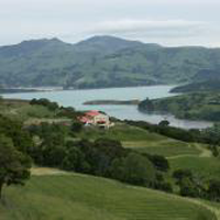 Akaroa Winery