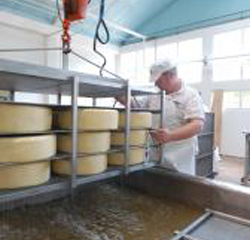 Barrys Bay Cheese