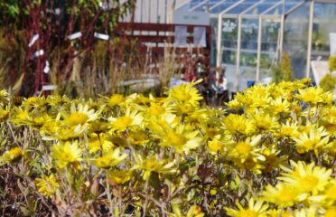 Shotover Garden Centre