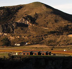 Marble Point Winery