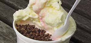 Vanilla Ice Truck